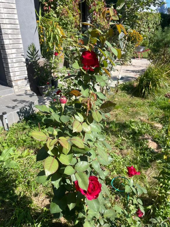 Уютный коттедж в 15 минутах от Москвы