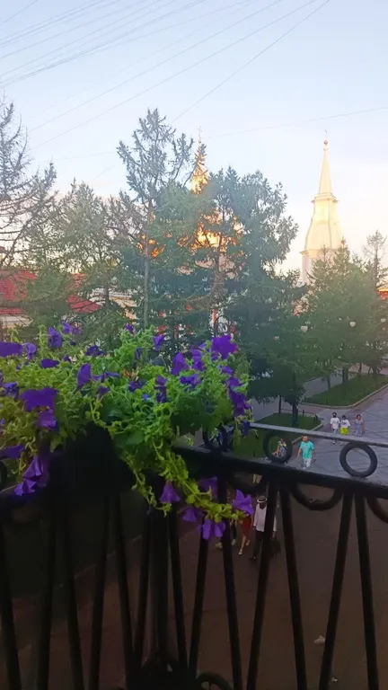 Апартаменты с балконом в центре Питера
