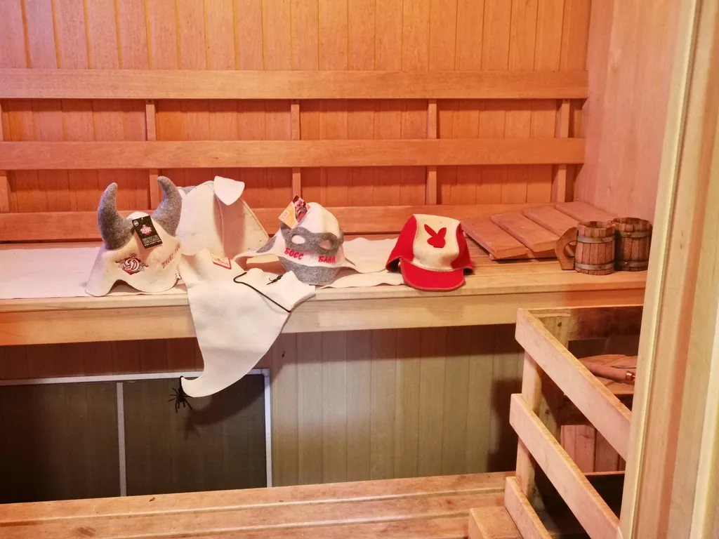 Дом дизайн 20соток баня экскурсии на ретроавто "Винтажные туры" центр