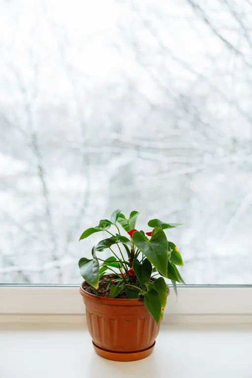 Дом в центре города