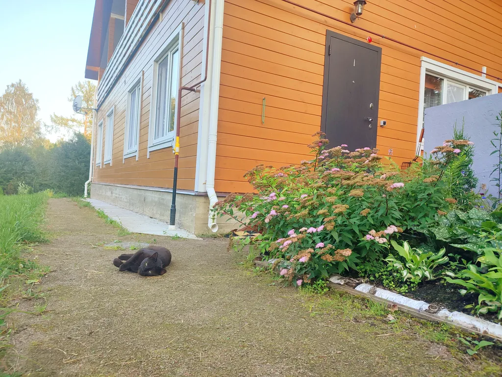 Петербургская дача на холме прямо у озера