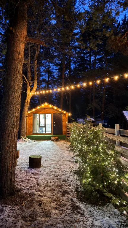 Уютный Домик в лесу!