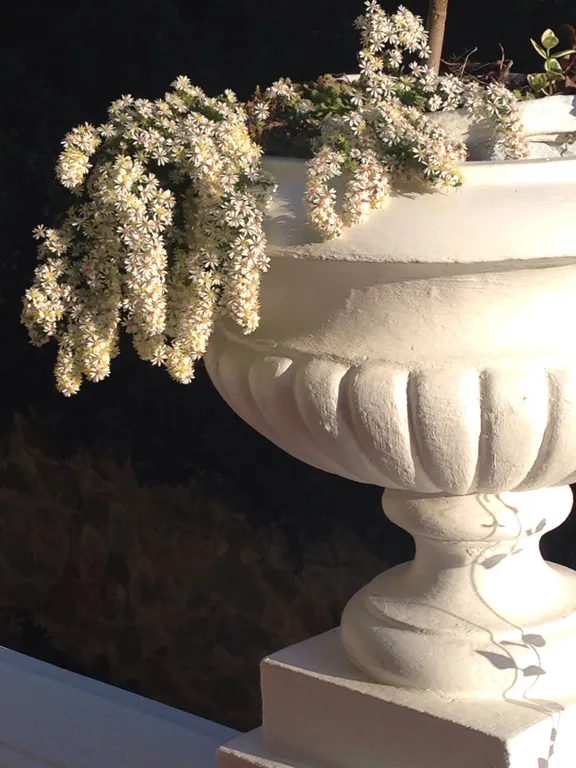 Верхний этаж дома с панорамным видом на море