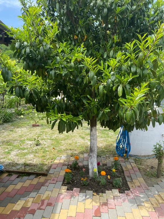 Коттедж Гостевой дом Лавр — Прасковеевка