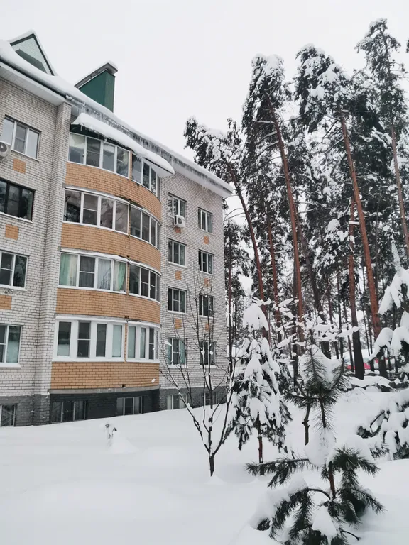 Уютная квартира в центре соснового леса — аренда посуточно в Рязань