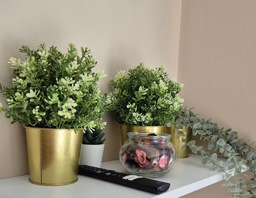 Просторные и уютные 2-комнатные апартаменты на берегу Пхукета