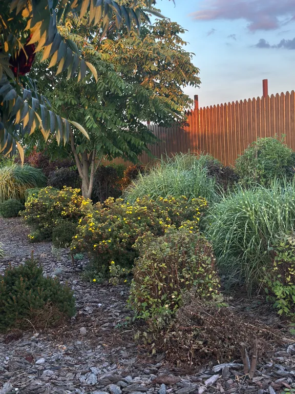 Дом-баня в красивом саду рядом с водоемом