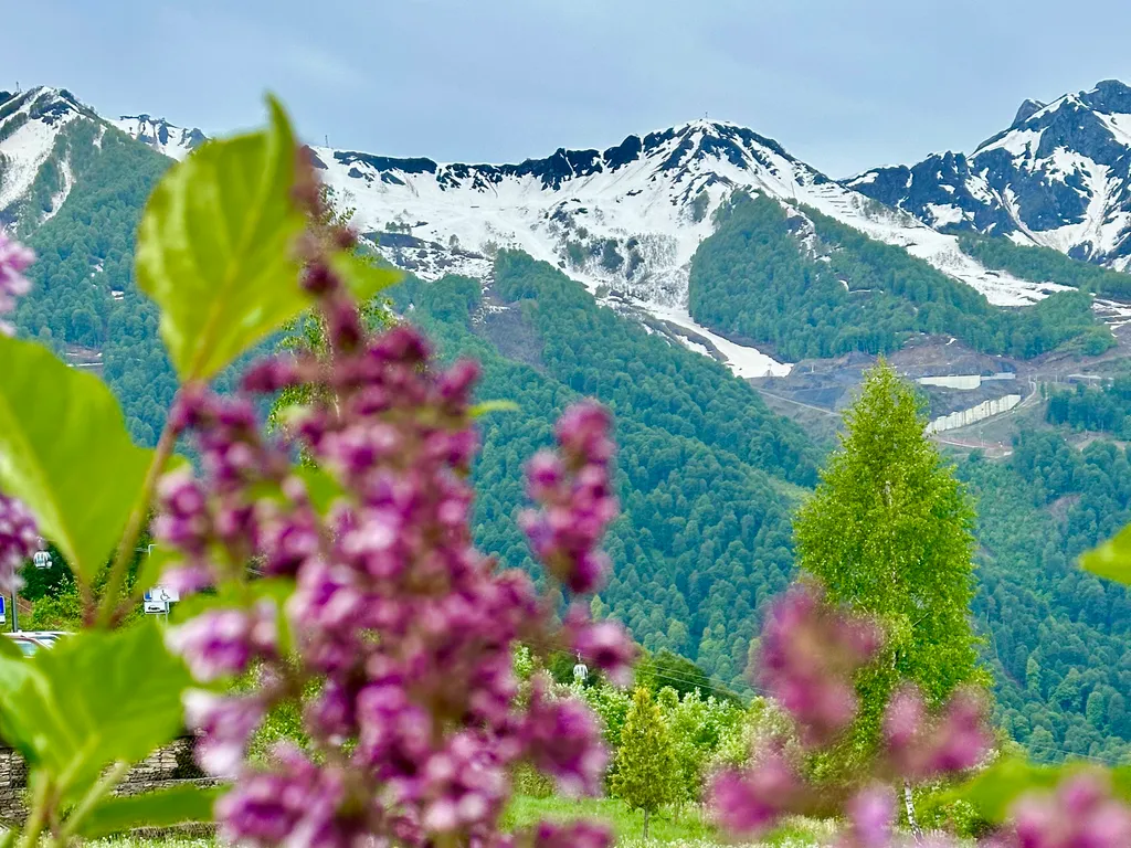 Квартира Горы