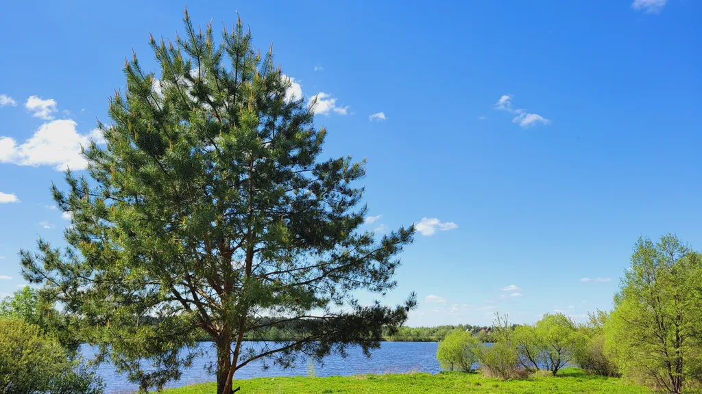 Гостевой дом в Подмосковье по Дмитровскому ш. Дом на берегу р.Волга