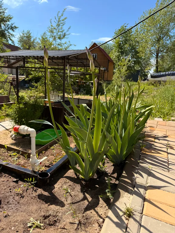 Дом на Волге