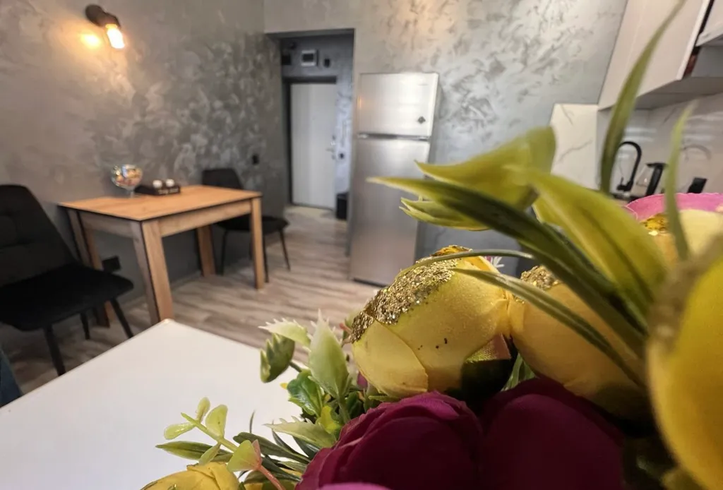 1 комнатная квартира