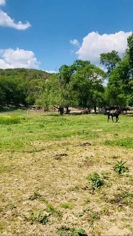 Уютная и стильная студия в горах между озером и морем