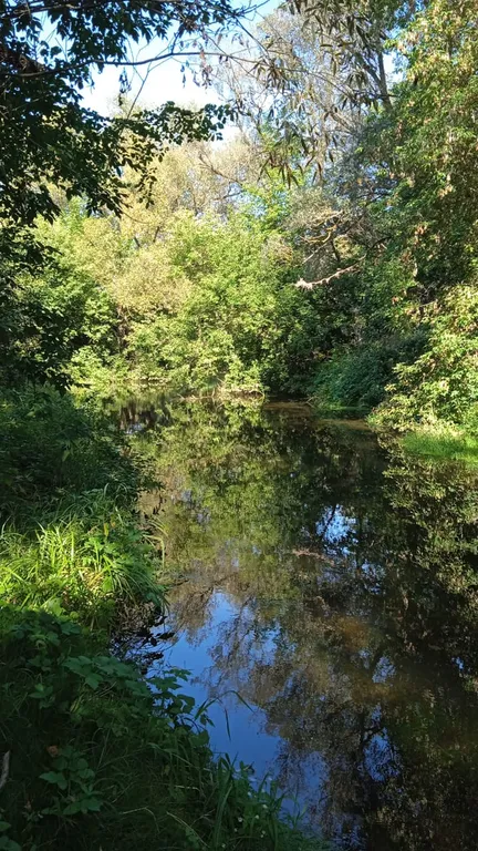 Домик для семейного отдыха на природе