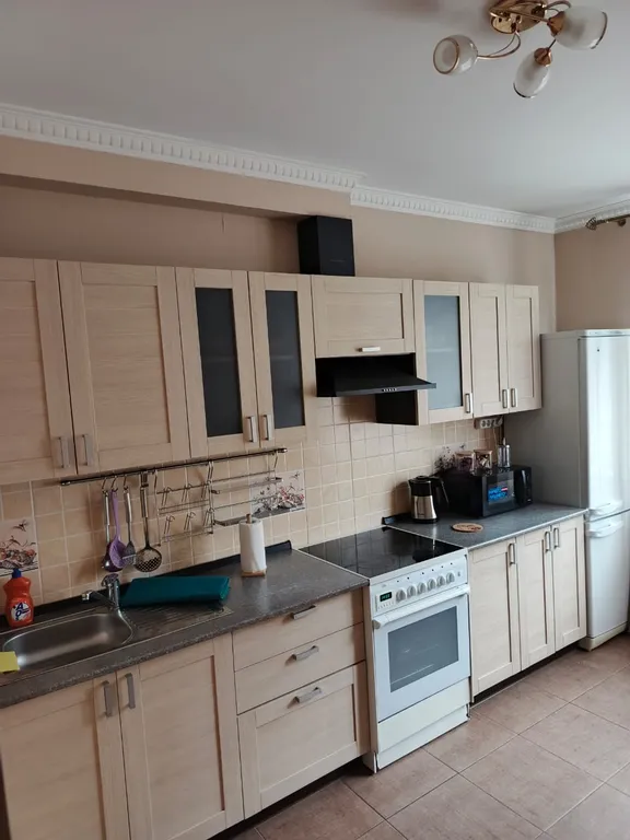 Квартира возле аэропорта Внуково — аренда посуточно в Московский