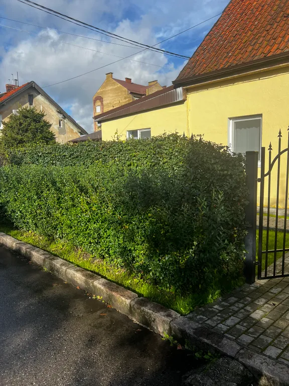 Квартира Уютная 3-комнатная квартира для спокойного семейного отдыха — Зеленоградск