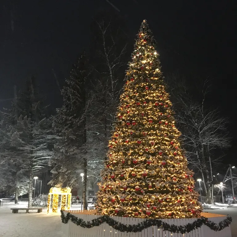 Квартира 1-комнатная Квартира — Зеленоградск