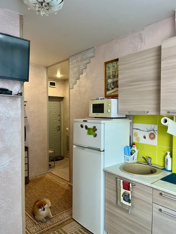 Квартира 1-комнатная Квартира — Сириус