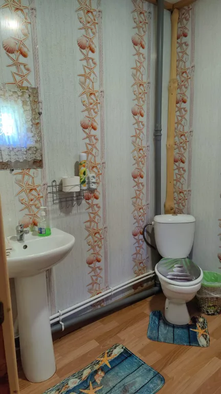 Усадьба Ай-Туу на Телецком озере