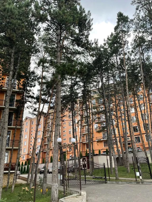 Апартамент с видом на Комсомольский Парк в центре города