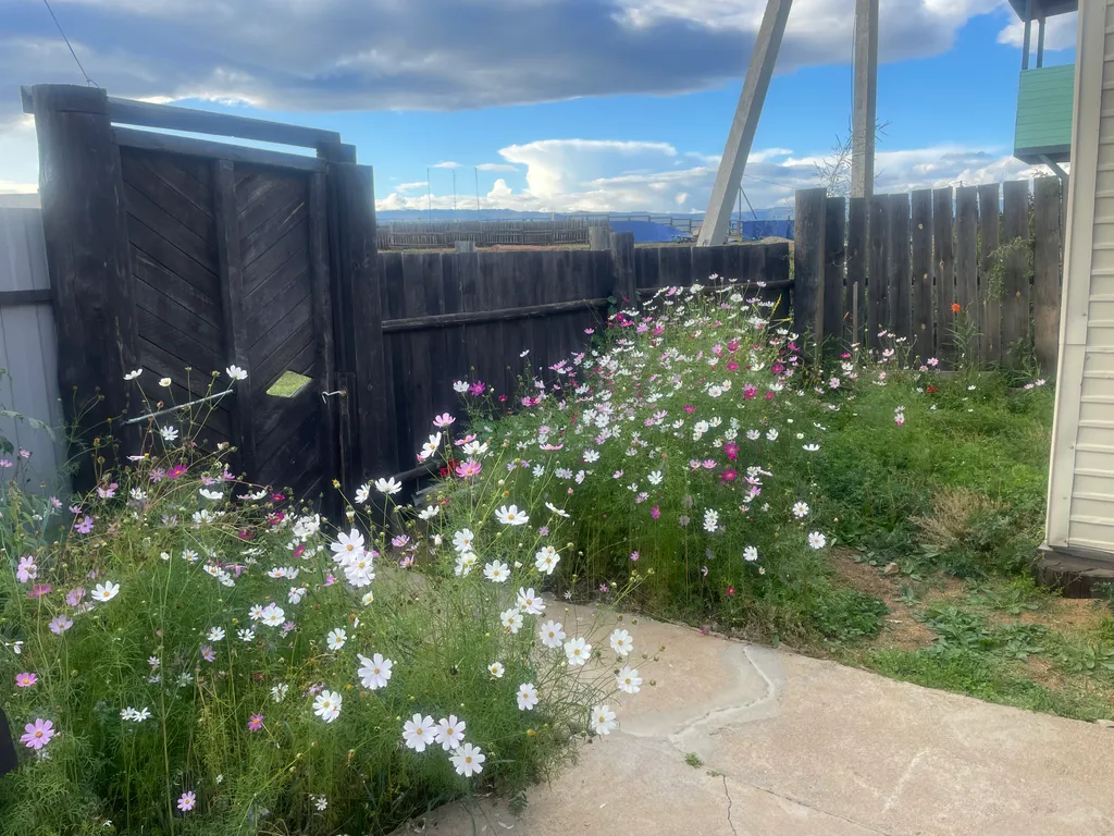 Дом Сердце Байкала