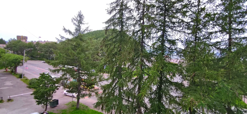 Уютная квартира в центре города с уникальным расположением