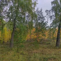 Гостевая квартира с видом на Экопарк