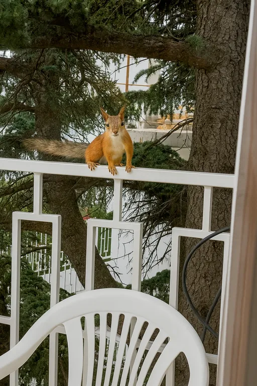 с балконом, вид во дворик отеля