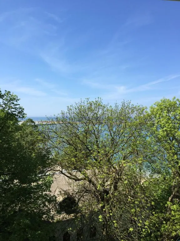 Квартира Уютный оазис с видом на Балтийское море — Пионерский