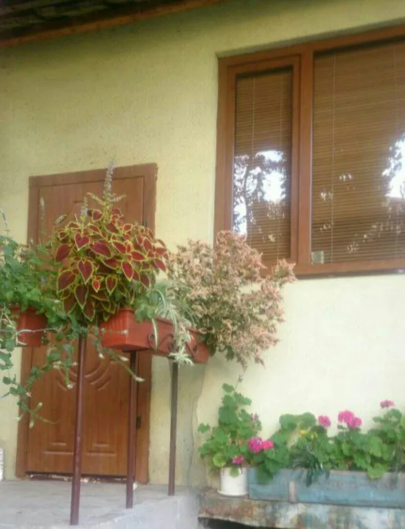 Уютная картира от собственника в центре у остановки пионерская