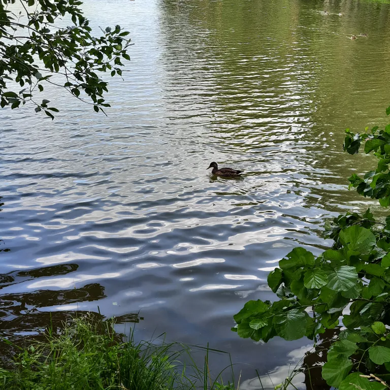 Гости очень любят царство Берендея