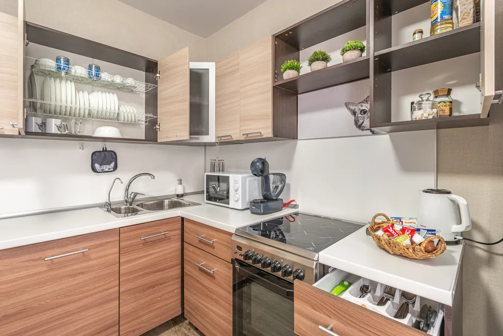 Квартира в Академическом cat home