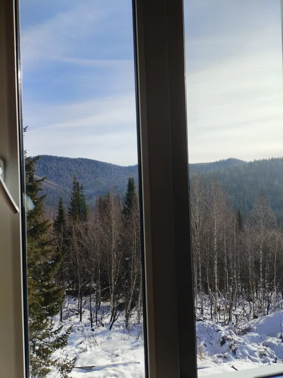 Уютный дом Муравейник