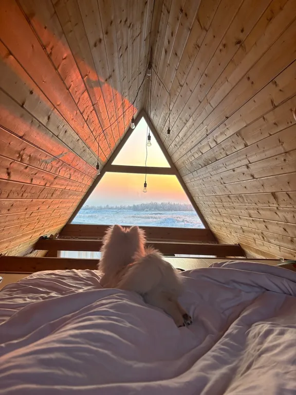 Треугольный дом