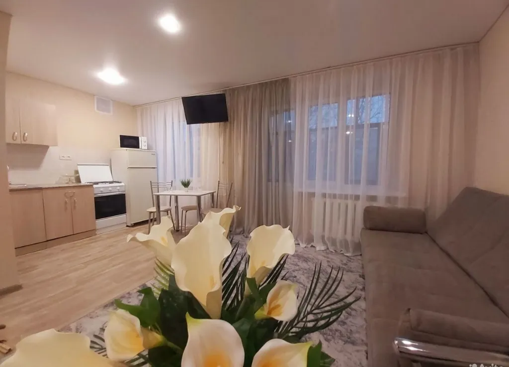 Уютная студия напротив больницы Миротворцева