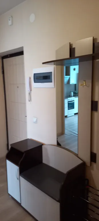 Уютная однокомнатная квартира