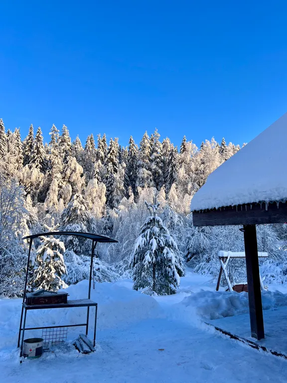 Коттедж с 3 спальнями, сауной, с видом на лес