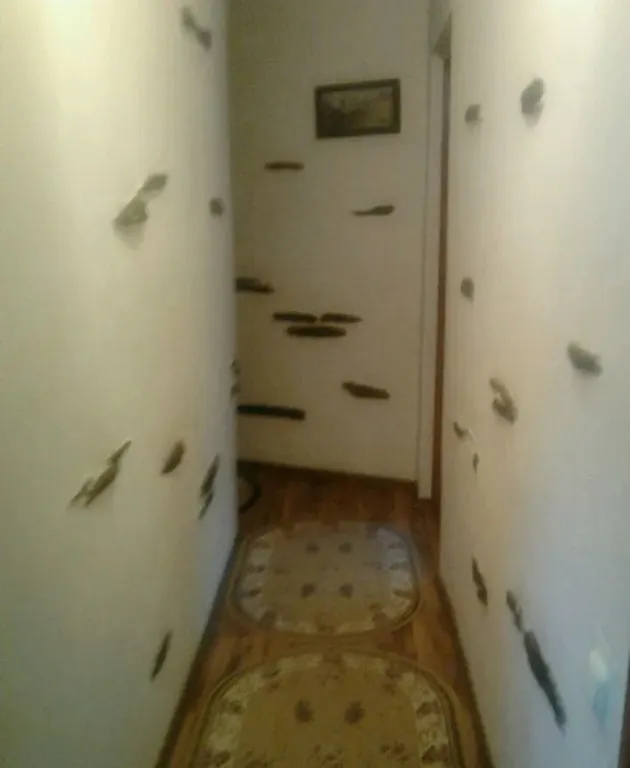 Уютная квартира с видом на гору Чегет