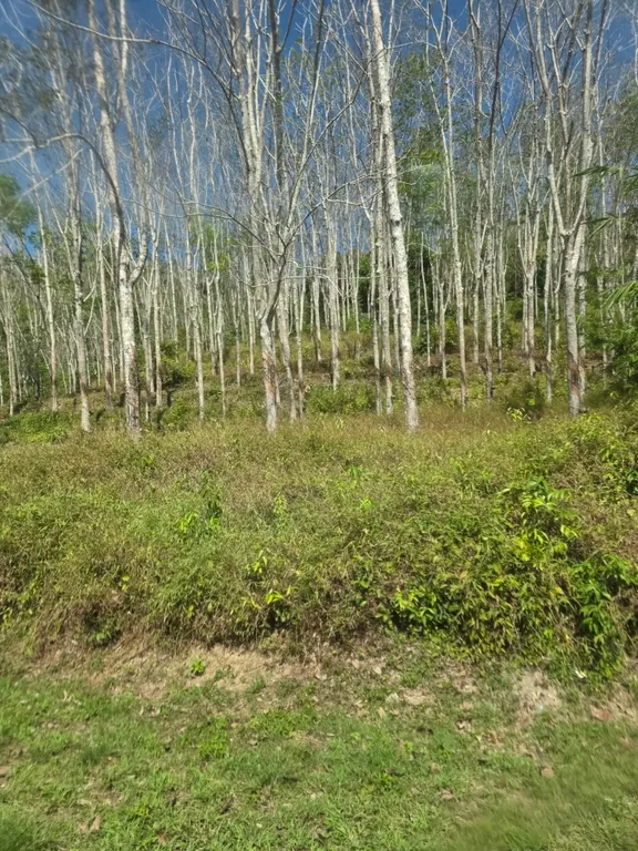 Апартаменты Пхукет 777 beach condo с большим бассейном