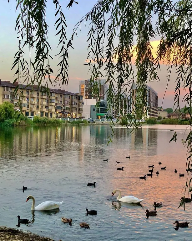 Квартира Квартира с видом на Лебединое озеро в парковой зоне — Горячий Ключ