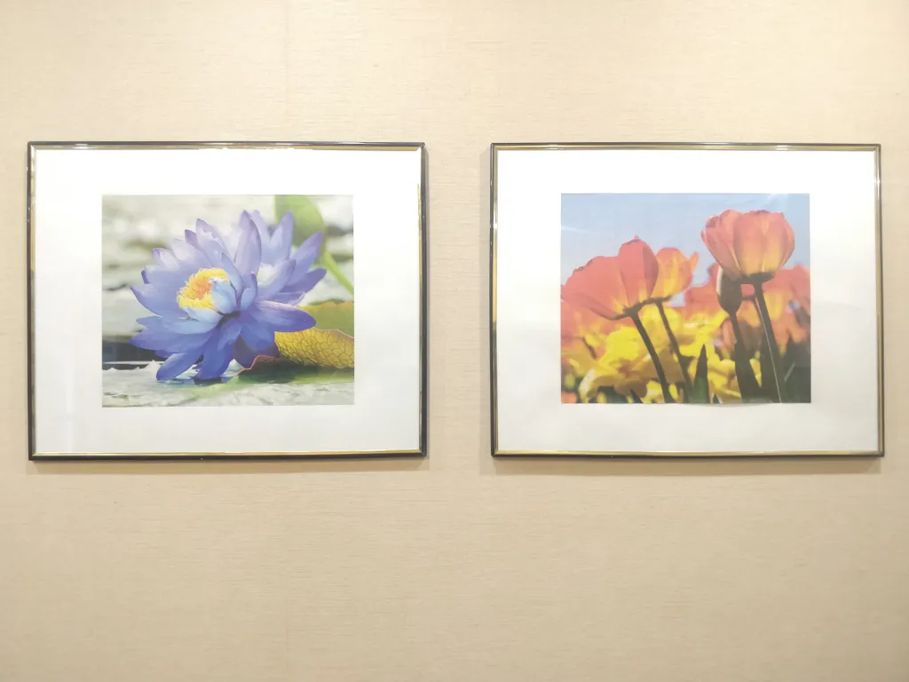 1-комнатная квартира-студия в центре