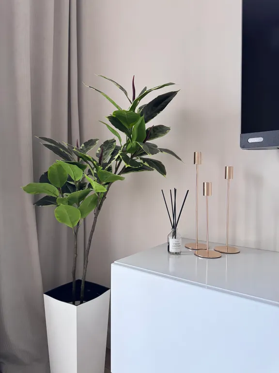 Панорамные апартаменты в Бульваре цветов