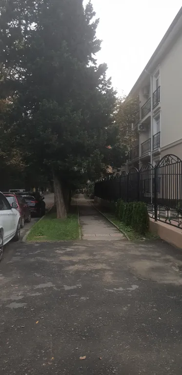 Квартира-студия с отдельной спальней