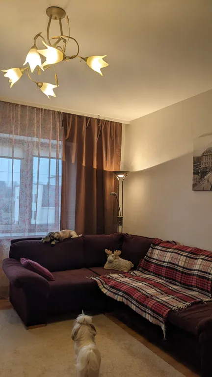 Квартира Уютная однокомнатная квартира в тихом районе с закрытой территорией — Калининград