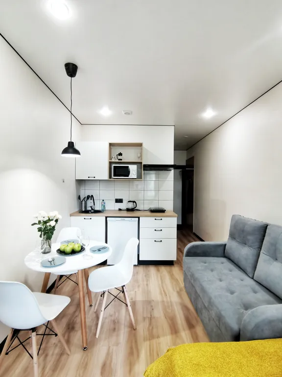 Квартира Четырехместная студия Черника с собственной ванной комнатой — аренда посуточно в Уфа