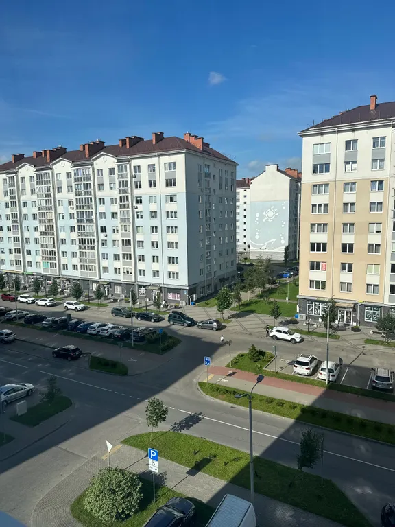 Квартира Квартира Кот ученый — Калининград