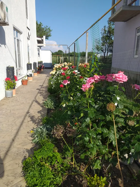 Квартира Комната с видом на море — Кучугуры