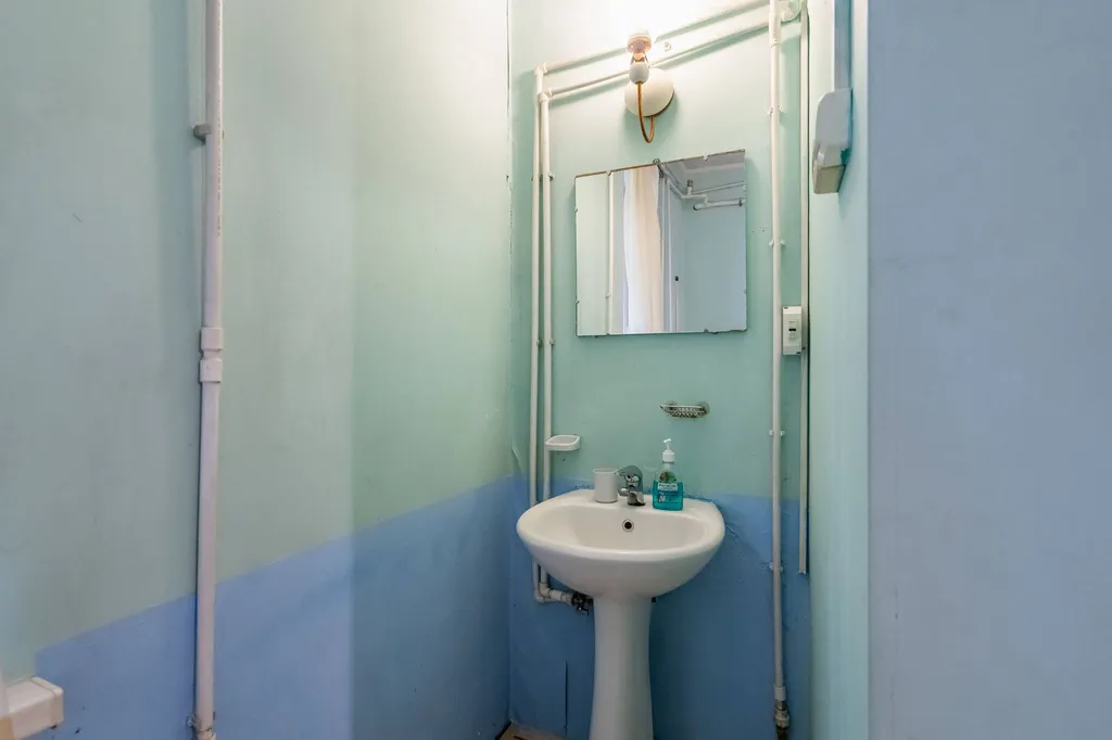 Коттедж 1-комнатный Дом — Луга