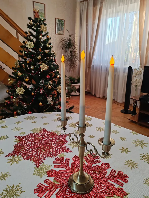 2х этажная часть дома с садом