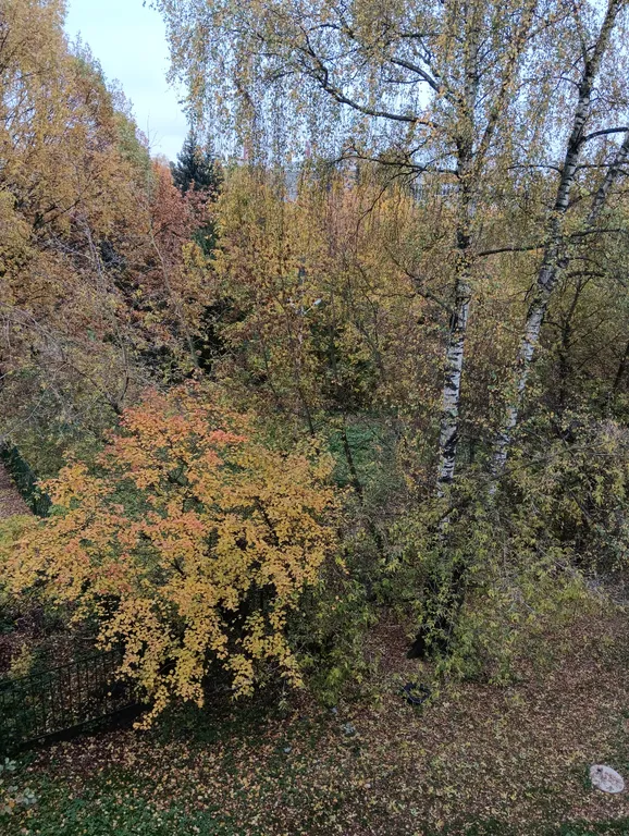 Уютный уголок для вашего отдыха