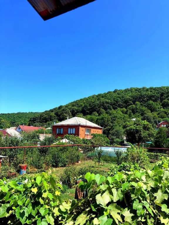 Гостевой дом Бабы Леси